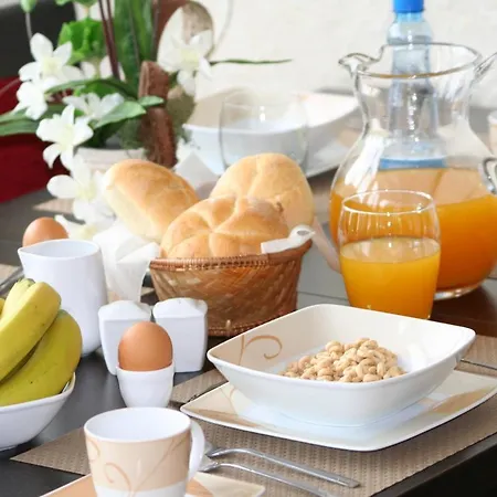 Maya Bed & Breakfast Brodnica Dolna